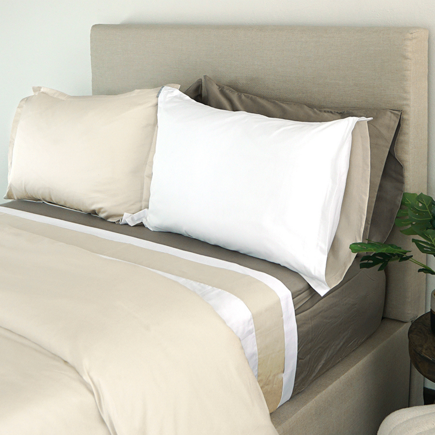 Set de 2 Fundas de almohada decorativa doble vista