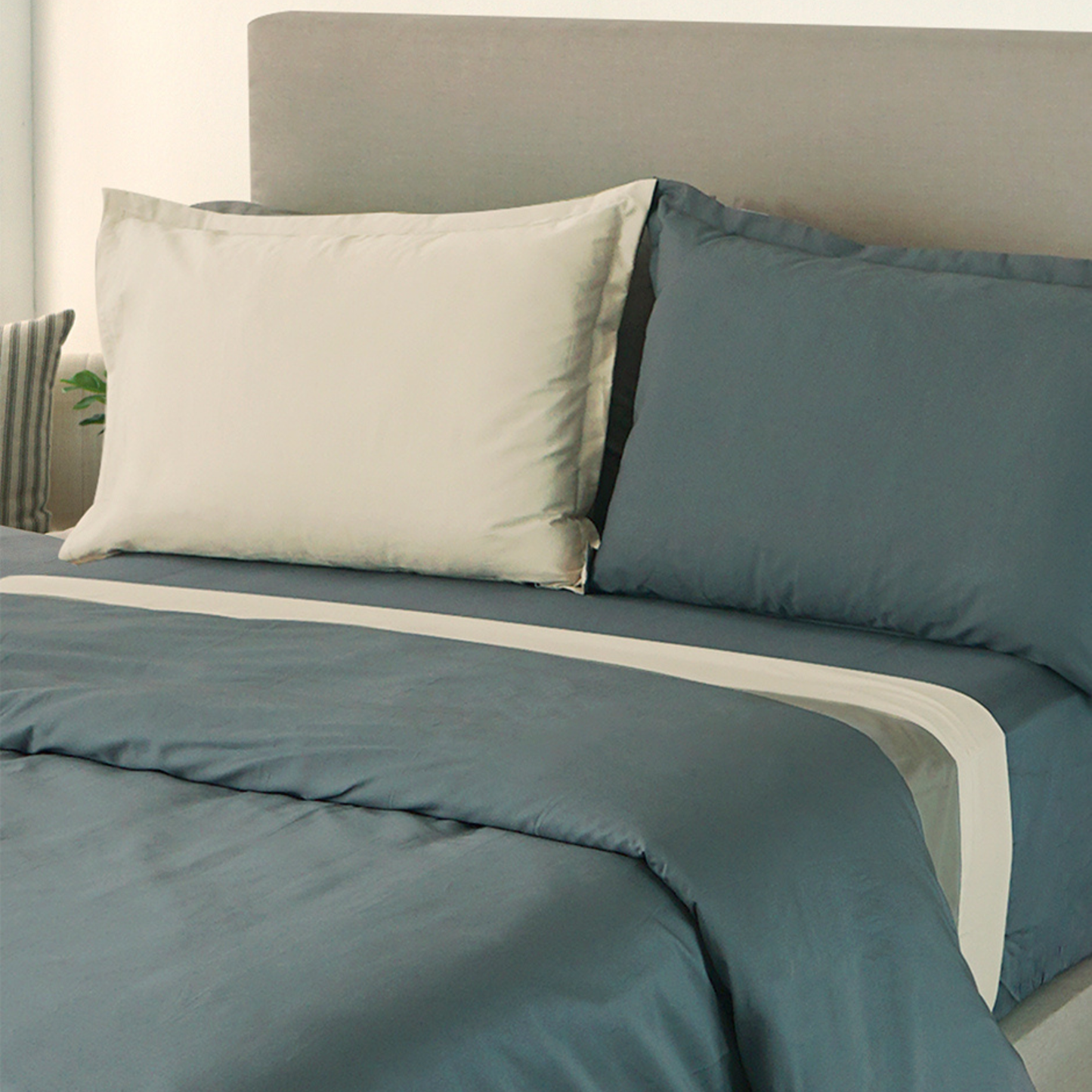 Set de 2 Fundas de almohada decorativa doble vista