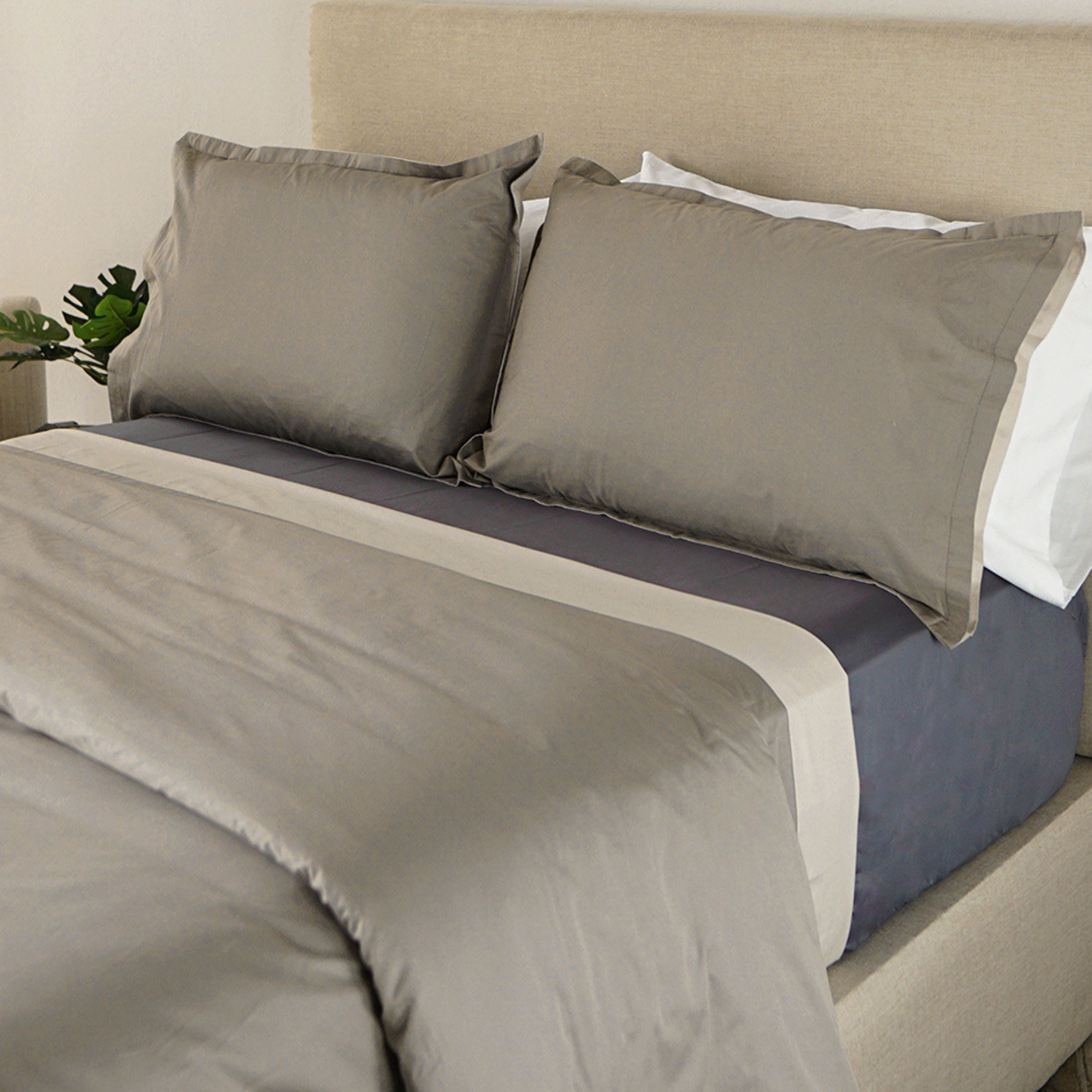 Set de 2 Fundas de almohada decorativa doble vista