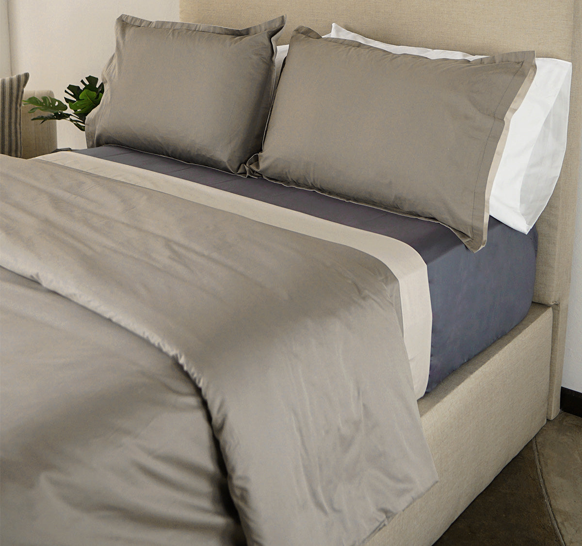 Juego de Funda de Duvet Tela Plat 300 hilos 100% Algodón